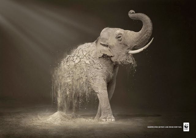 publicidad fuerte de WWF